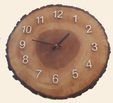 {qp_statement_image_alt_text_3}