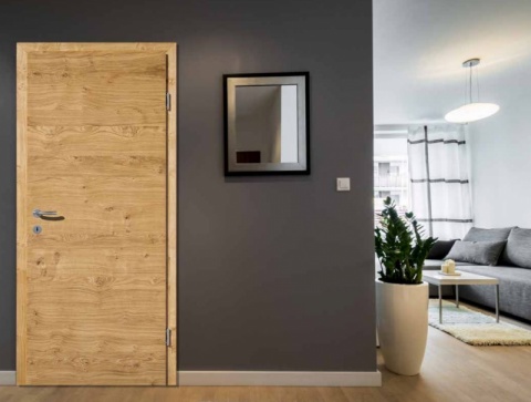 Furniertüren-